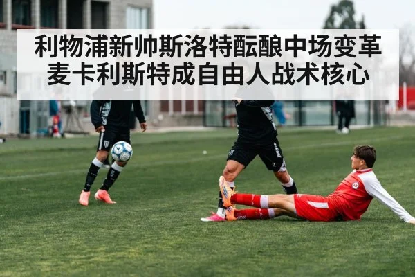 利物浦新帅斯洛特酝酿中场变革麦卡利斯特成自由人战术核心